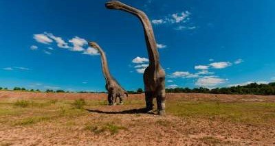 Палеонтологи раскопали зубы древних огромных динозавров