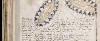 Расшифрован самый загадочный манускрипт Средневековья