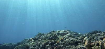 Ученые нашли в Мировом океане почти 200 тысяч видов морских вирусов