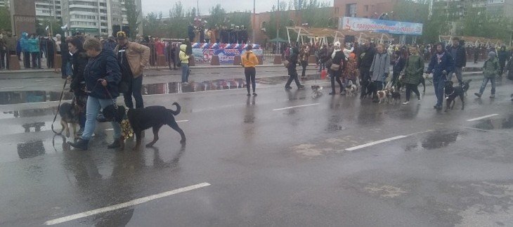 ВОЛГОГРАД. На Первомай в Волжском не вышли слоны из-за холода