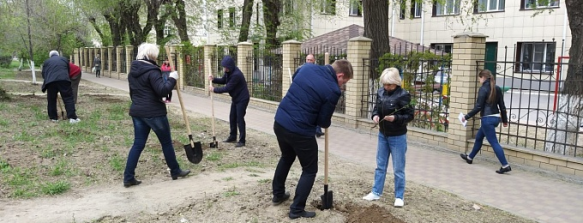 ВОЛГОГРАД. В Ворошиловском районе появилась новая зеленая аллея