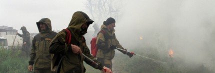 ЧЕЧНЯ. В двух районах Чечни введен особый противопожарный режим