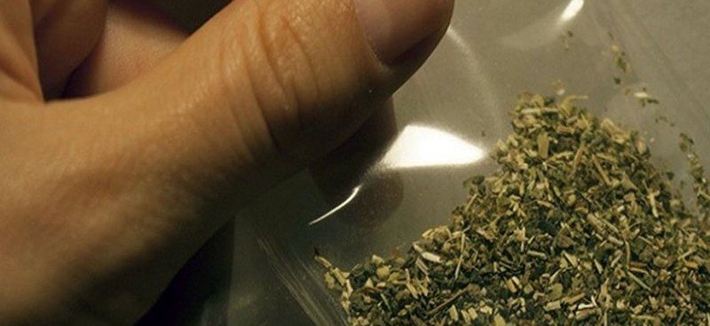 ИНГУШЕТИЯ. Более 21 грамма «марихуаны» изъято у жителя Ингушетии