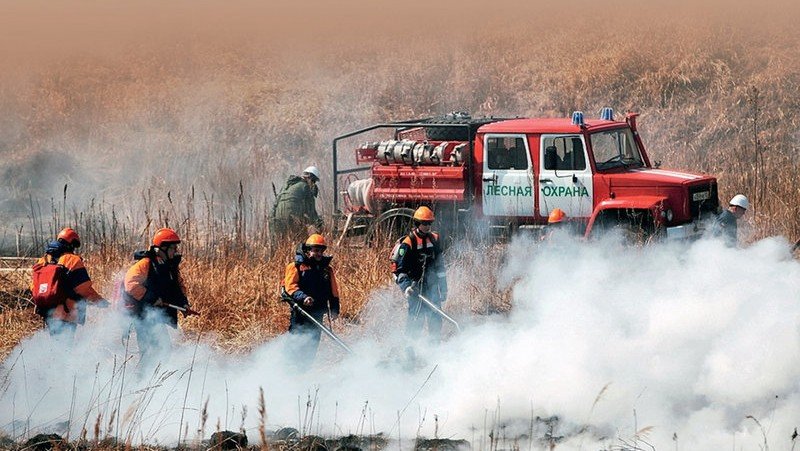 ИНГУШЕТИЯ. Ингушетия получила более 10 единиц лесопожарной и патрульной техники
