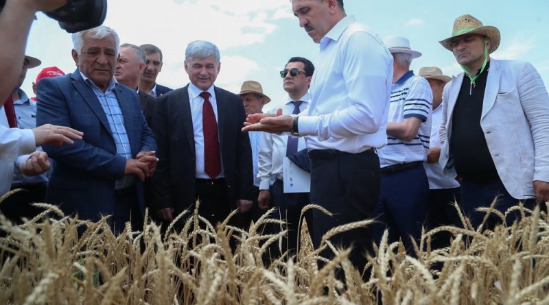 ИНГУШЕТИЯ. Ю. Евкуров посетил главный сельскохозяйственный праздник «День поля – 2019»