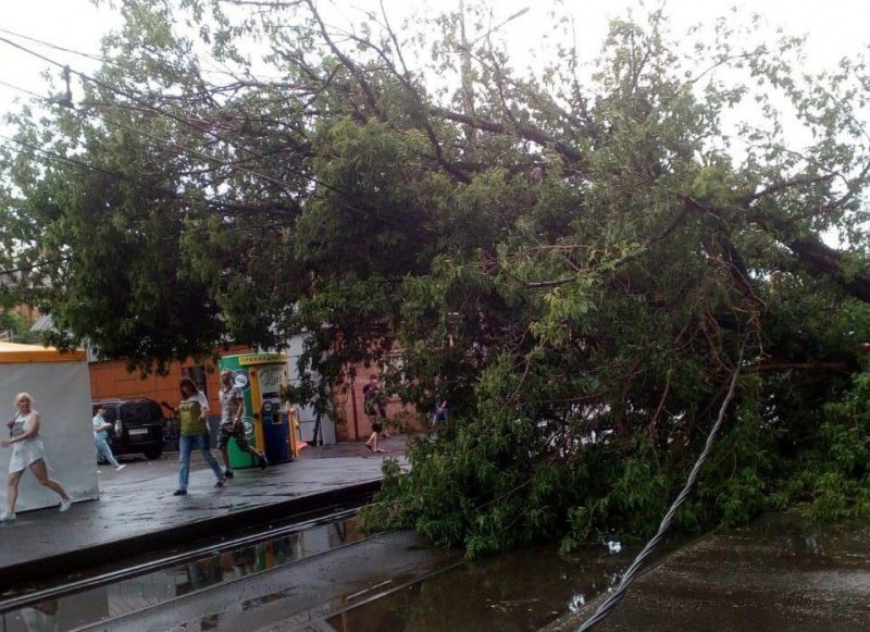 КРАСНОДАР. Упавшие деревья парализовали движение трамваев в двух районах Краснодара