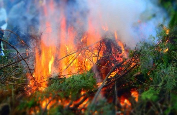 РОСТОВ. На несколько суток в Ростовской области сохраняется чрезвычайная пожароопасность