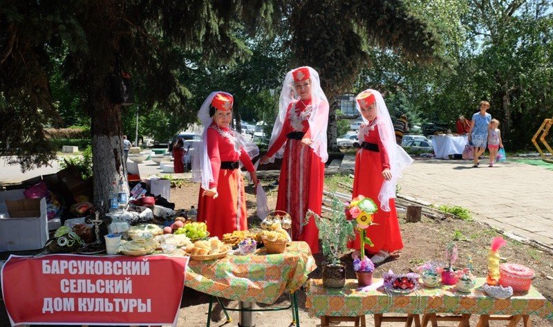 СТАВРОПОЛЬЕ. IX фестиваль национальных культур состоялся в Кочубеевском районе
