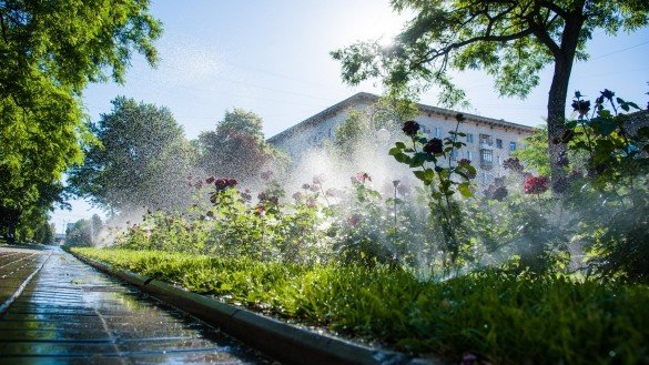 ВОЛГОГРАД. Спецтехника по 4 раза в сутки поливает водой дороги Волгограда в жару