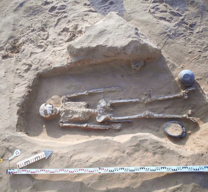 АСТРАХАНЬ. Под Астраханью нашли останки сармата, ставшего жертвой древних хирургов