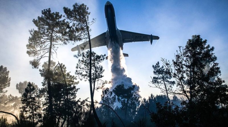 Авиация МЧС России приступила к тушению лесных пожаров в Сибири