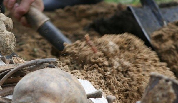 ЧЕЧНЯ. В Индонезии обнаружили останки древнего человека возрастом 1,8 миллиона лет