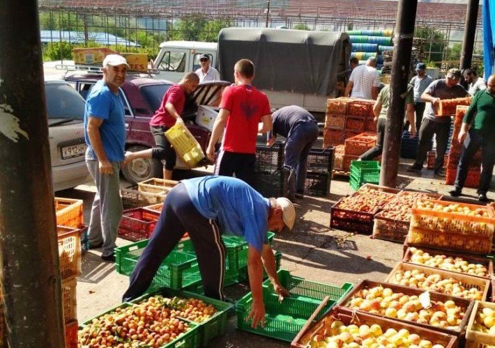 ДАГЕСТАН. В Дагестане активно проходит сезон переработки плодов