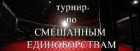 ИНГУШЕТИЯ. ﻿ 27 июля в Ингушетии пройдёт республиканский турнир по смешанным боевым единоборствам