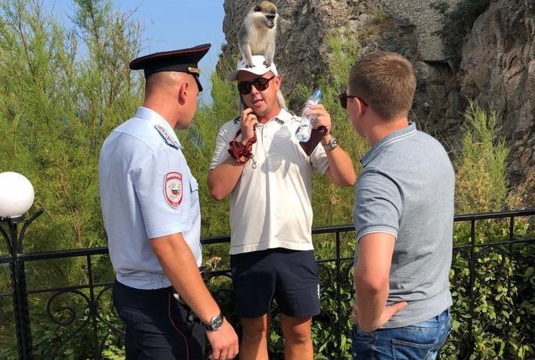 КРЫМ. У Ласточкиного гнезда наказали фотоживодеров