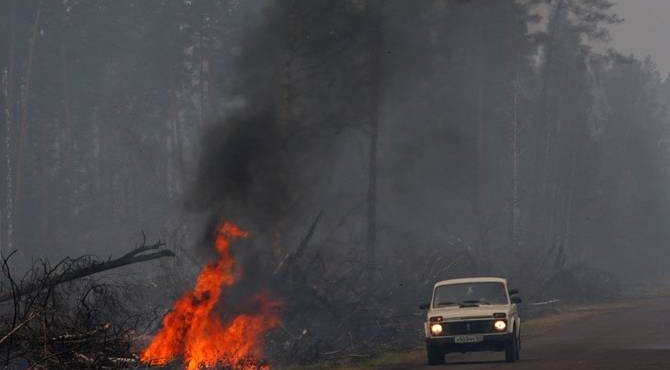 Лесные пожары в России охватили около 3 млн га