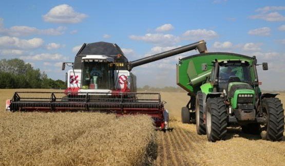 РОСТОВ. 9,5 миллиона тонн ранних зерновых собрали в Ростовской области