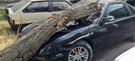 РОСТОВ. Аварийное дерево раздавило иномарку в Новочеркасске