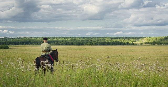 РОСТОВ. В Ростовской области чиновников и казаков поймали на махинациях с землёй