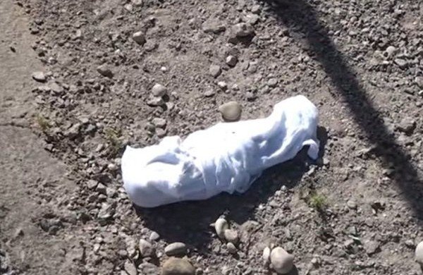 РОСТОВ. В Ростовской области обнаружили скелетированный труп младенца