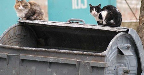 СТАВРОПОЛЬЕ. На Ставрополье прошли летние замеры накопления коммунальных отходов