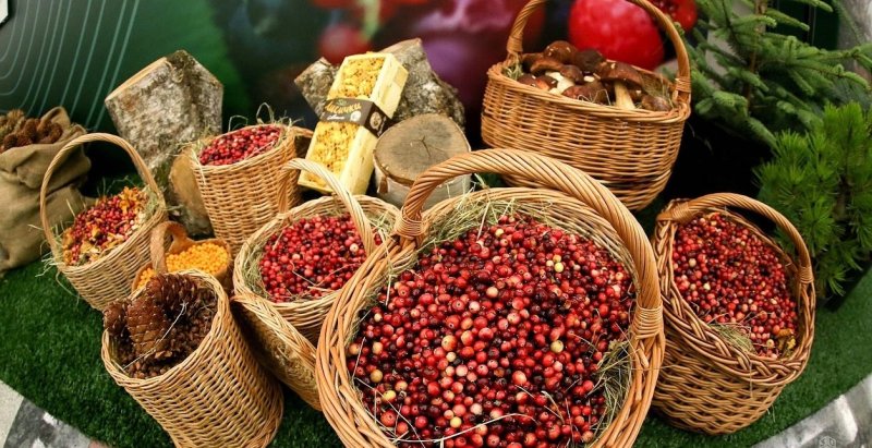 ВОЛГОГРАД. Ставку НДС для плодово-ягодной продукции предлагают снизить