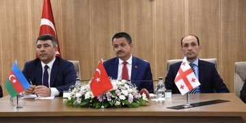 АЗЕРБАЙДЖАН. Баку, Анкара и Тбилиси подписали декларацию о фундуке