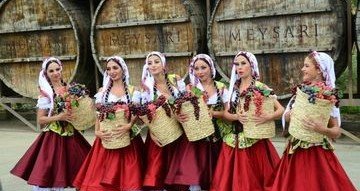 АЗЕРБАЙДЖАН. В шамахинском Мейсери открылся первый азербайджанский фестиваль винограда и вина