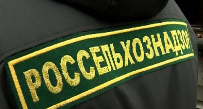 ЧЕЧНЯ. Чечня налаживает взаимодействие со службами судебных приставов соседних республик