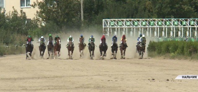 ЧЕЧНЯ. В Нальчике прошли конные скачки приуроченные к 68-й годовщине со дня рождения Ахмата-Хаджи Кадырова