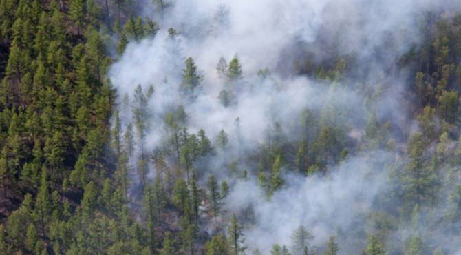 Дым от горящих российских лесов дошел до Монголии