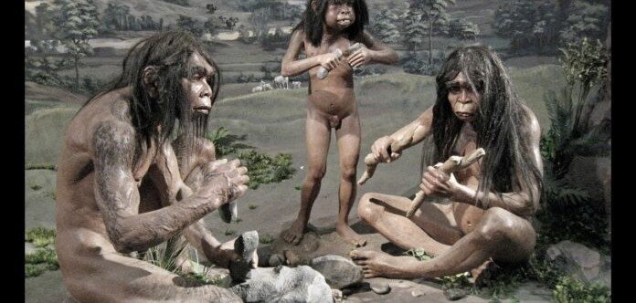 Исследователи выяснили, что ели люди 47 тысяч лет назад