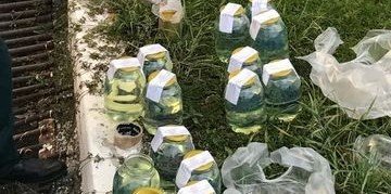 Ю.ОСЕТИЯ. Таможенники Северной Осетии пресекли контрабанду 370 тонн бензина