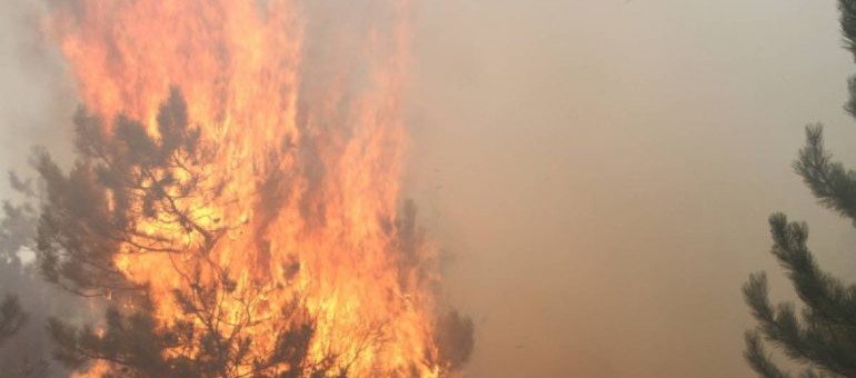 КРЫМ. У Карадагского заповедника вспыхнул сильный пожар