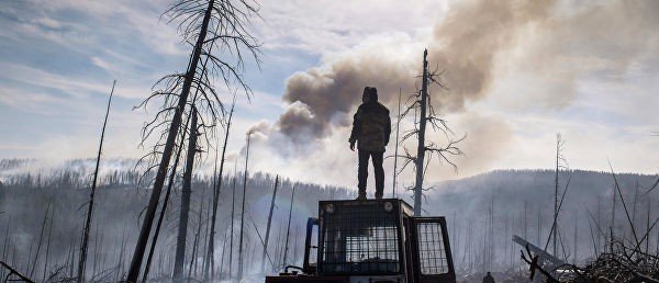 Около десяти тысяч человек тушат пожары в Сибири и на Дальнем Востоке