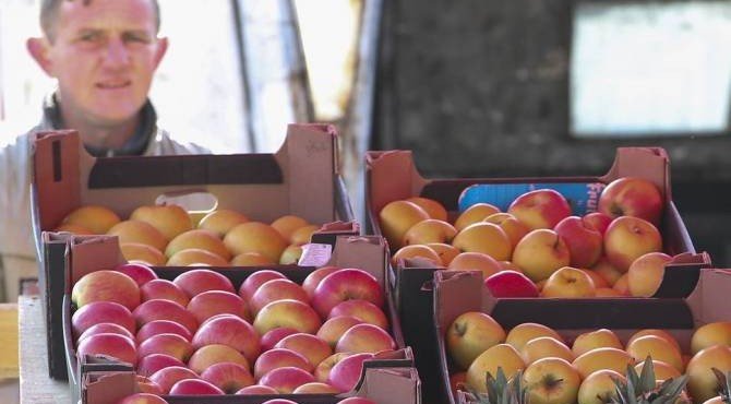 Россия ужесточает для физлиц правила ввоза фруктов и овощей через границу