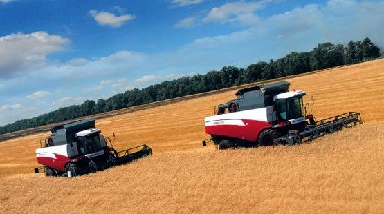 РОСТОВ. Аграрии собрали на 7% больше зерна, чем в прошлом году