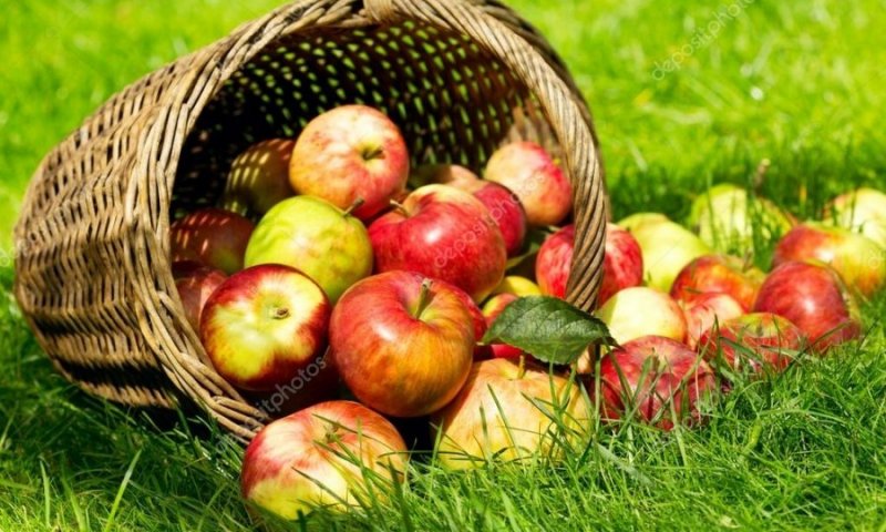 РОСТОВ. Сегодня Яблочный Спас! Поздравляем!