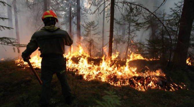В Сибири искусственно вызовут дожди для тушения лесных пожаров