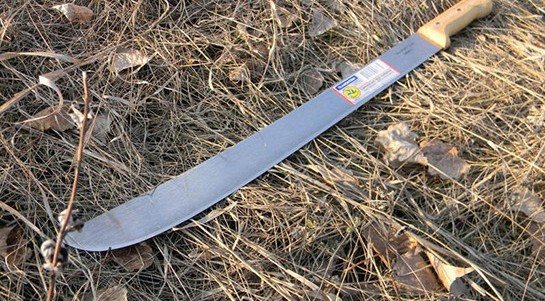 В Сиднее вооруженный мачете мужчина попытался напасть на людей