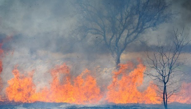 ВОЛГОГРАД. МЧС предупреждает о чрезвычайной пожароопасности в Волгоградской области