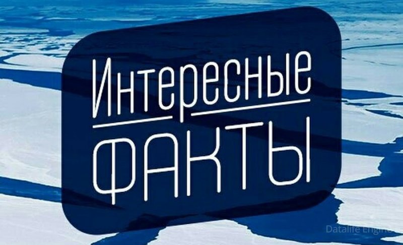 Интересные факты