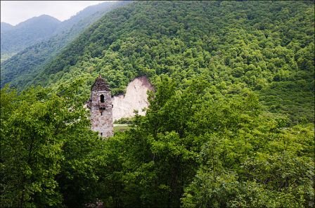 ЧЕЧНЯ.  ЧР признана одним из лучших регионов СКФО в области лесных отношений.