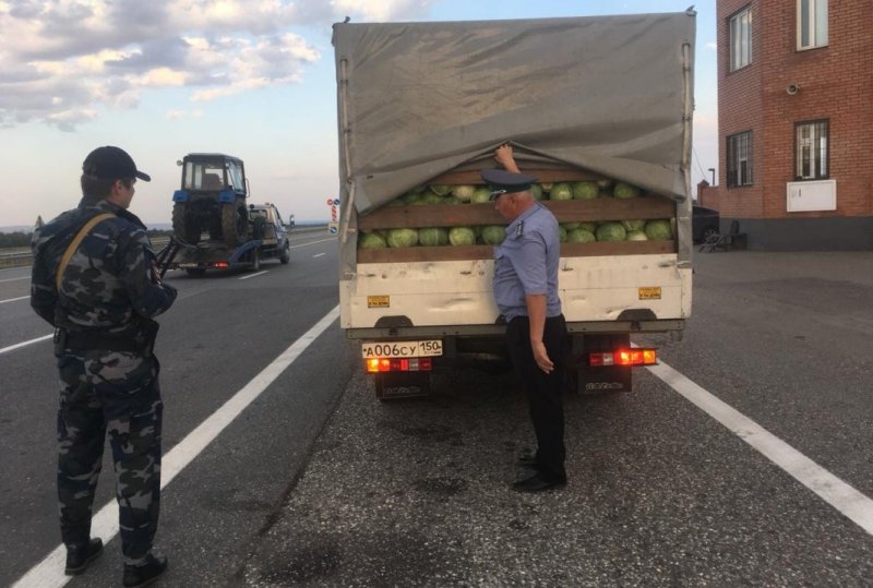 ЧЕЧНЯ. На границе остановлено 16 автотранспортных средств с запрещенной продукцией