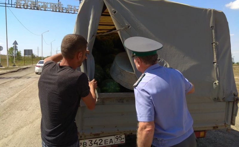 ЧЕЧНЯ. В Чечне выявлено 37 машин, перевозивших подкарантинную продукцию без документов