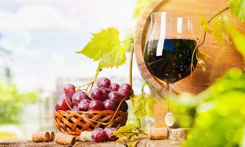КРАСНОДАР. Финал всероссийского конкурса виноделов «Молодая лоза» пройдет на Кубани