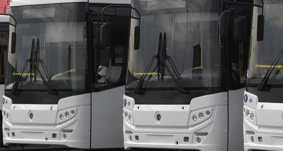 РОСТОВ. Из Ростова в «Мегу» покупателей будут возить комфортабельные автобусы с кондиционерами