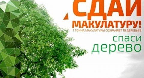 СТАВРОПОЛЬЕ. «Сдай макулатуру – спаси дерево!»