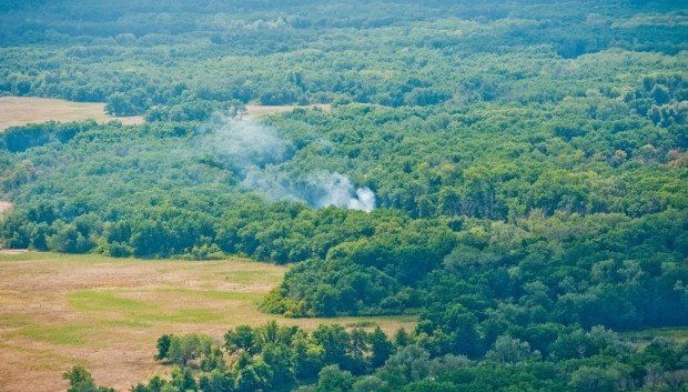 ВОЛГОГРАД. В Волгоградской области продлили режим ограничения пребывания в лесах