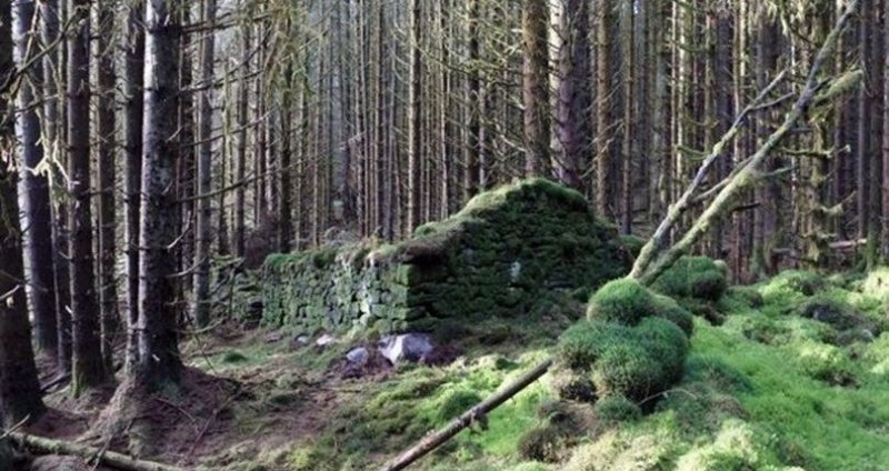 Археологи раскрыли предназначение руин в лесах Глазго